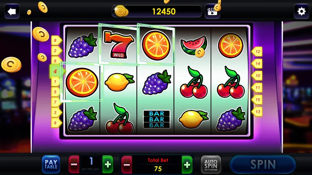 Casino Las Vegas স্ক্রিনশট 1