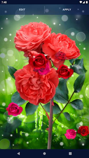 Red Rose Live Wallpaper ภาพหน้าจอ 0