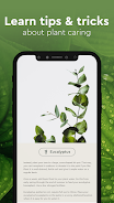 Schermata Nature Detect - Plant Identify 3