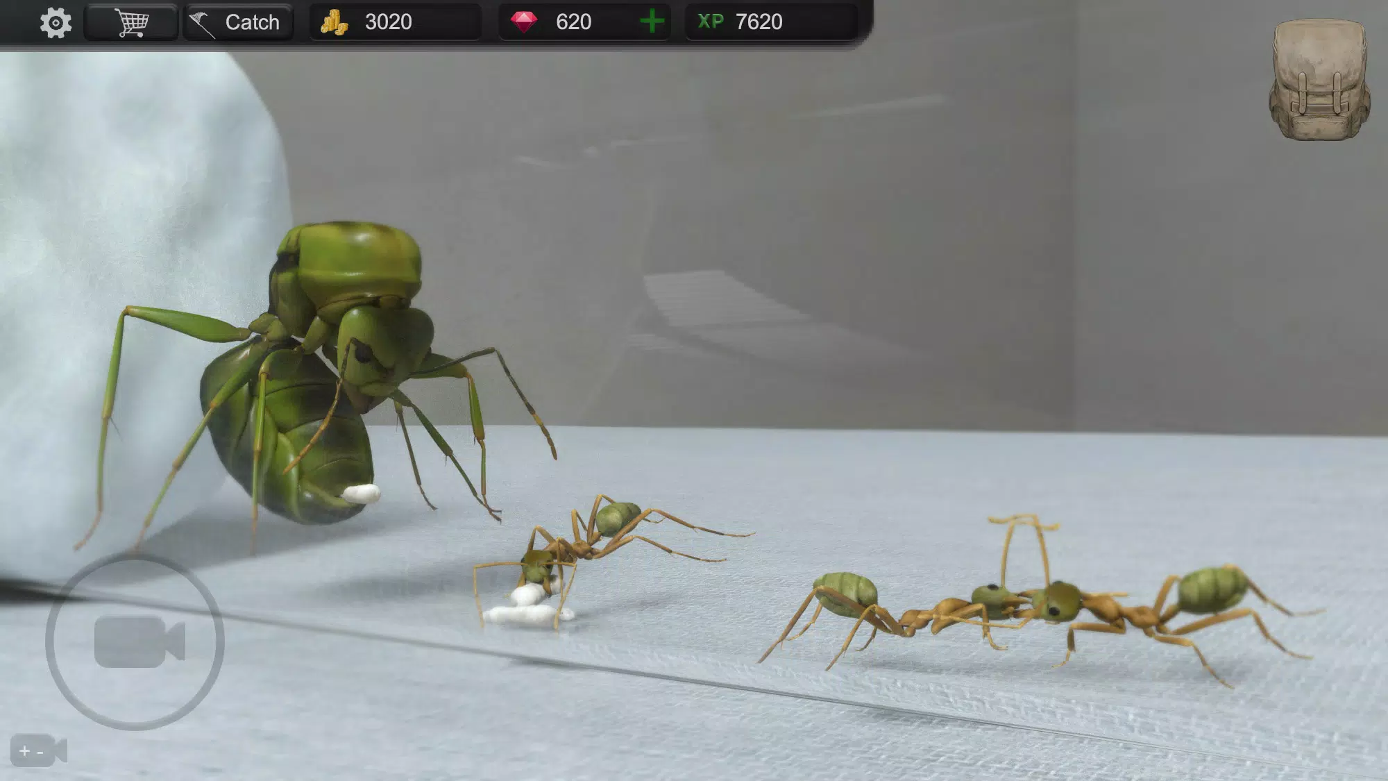Ant Sim Tycoon應用截圖第0張
