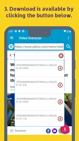Schermata Video Extractor 3