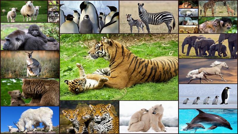 Baby Animal Jigsaw Puzzles ภาพหน้าจอ 0