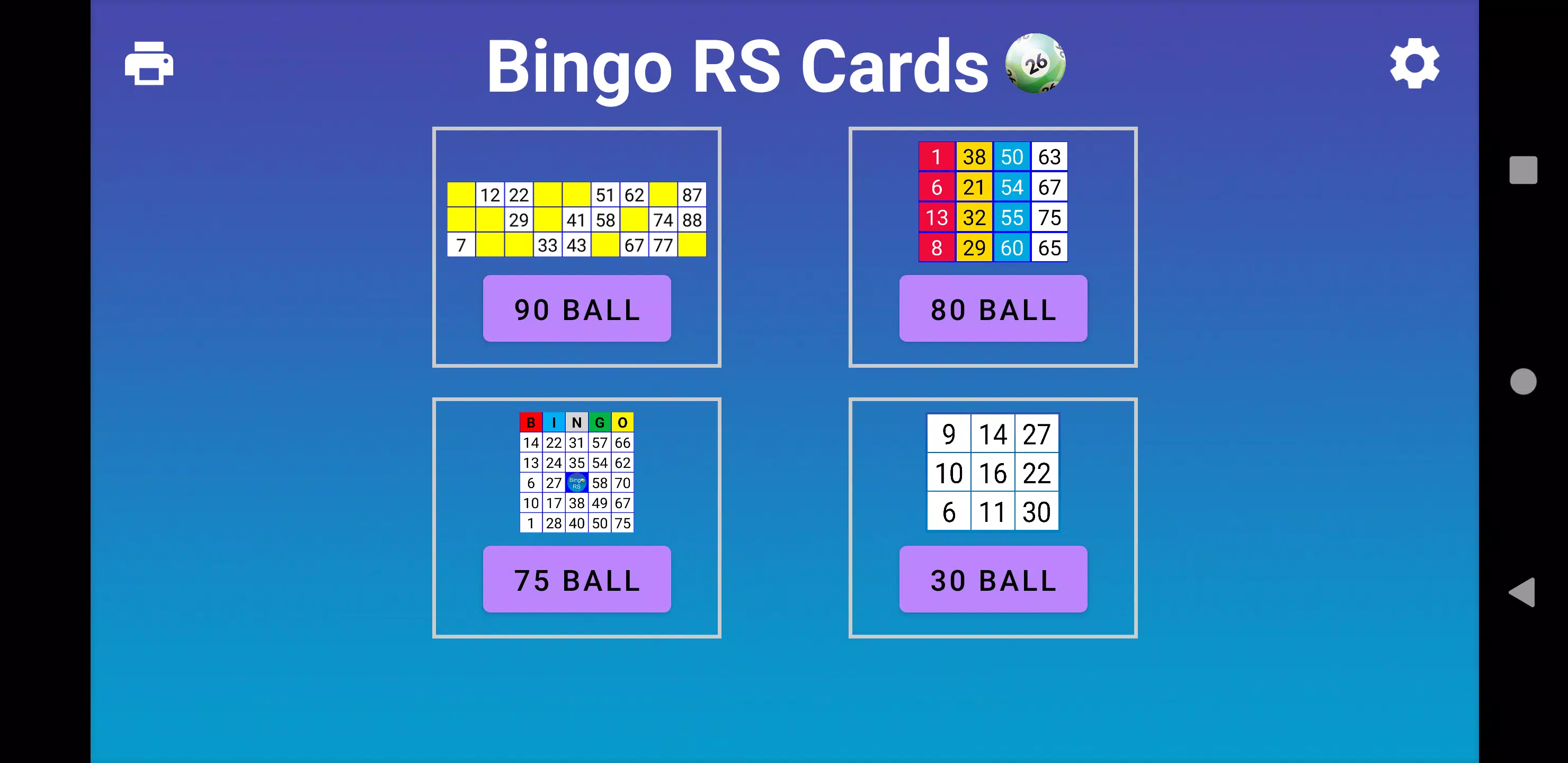 Bingo RS Cards 스크린샷 0