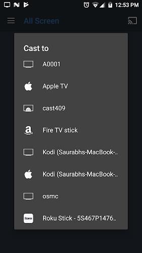 All Screen Cast to TV Roku Capture d'écran 2