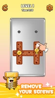 Screw Puzzle Master Ảnh chụp màn hình 3