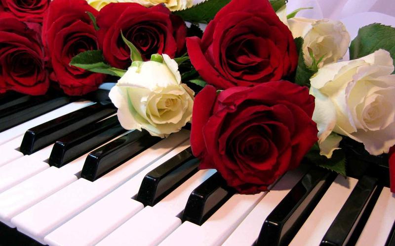 Roses Jigsaw Puzzles Captura de pantalla 3