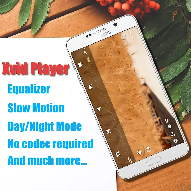 Xvid Video Codec Player 스크린샷 0