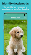 Dog Scanner: Breed Recognition Ekran Görüntüsü 0