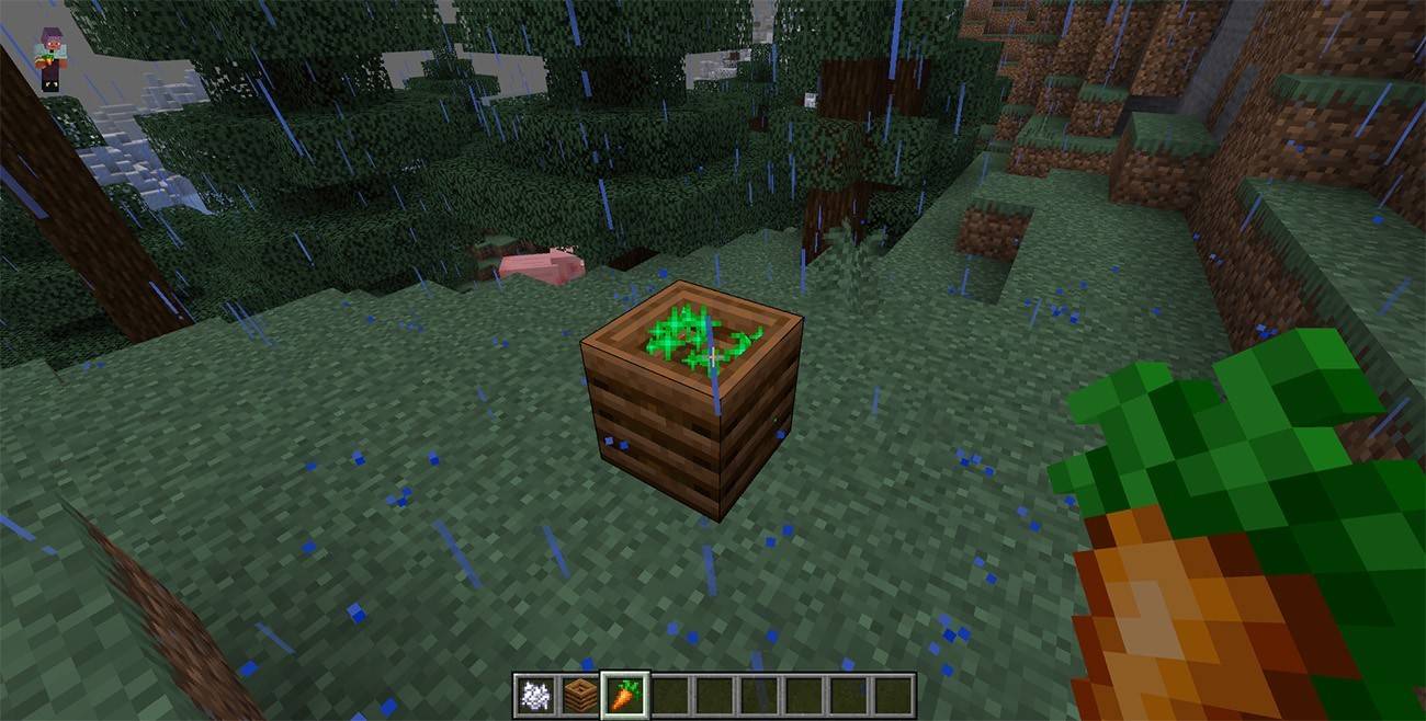 Minecraft में संगीतकार