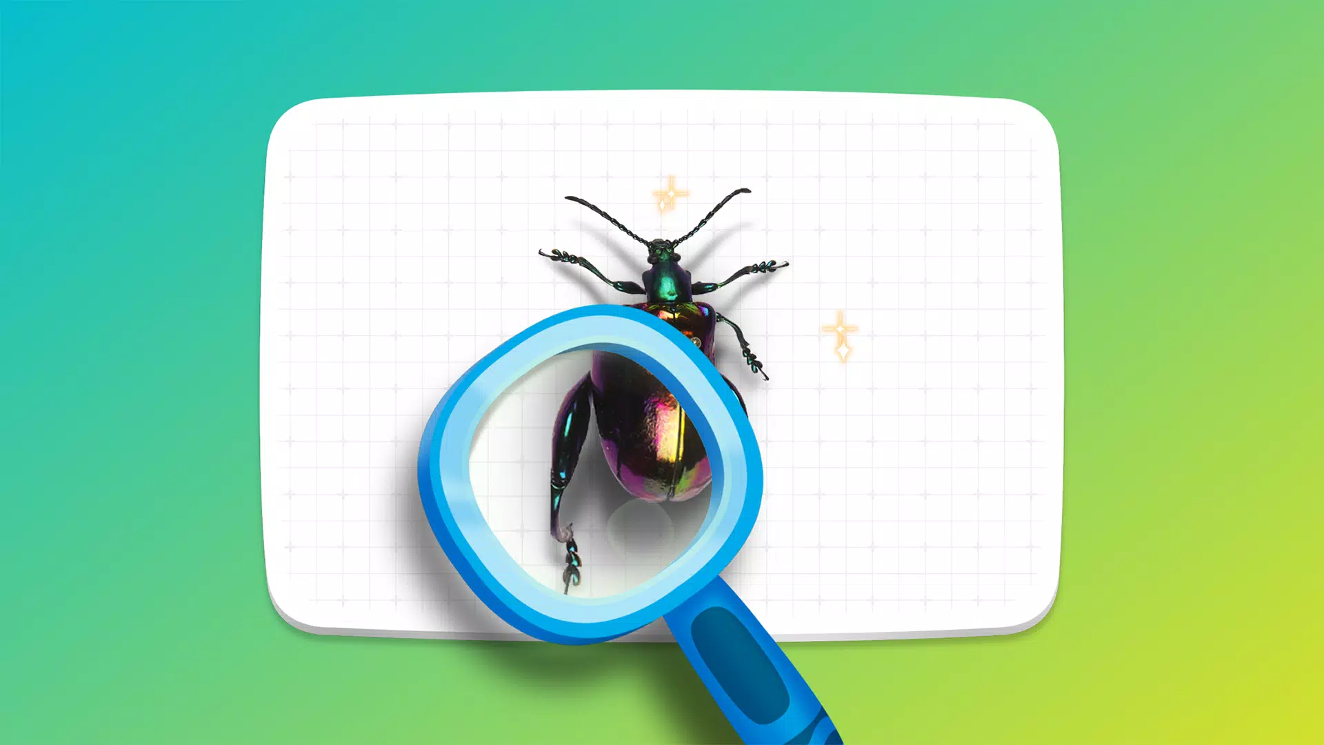 Crayola Create & Play Screenshot 1