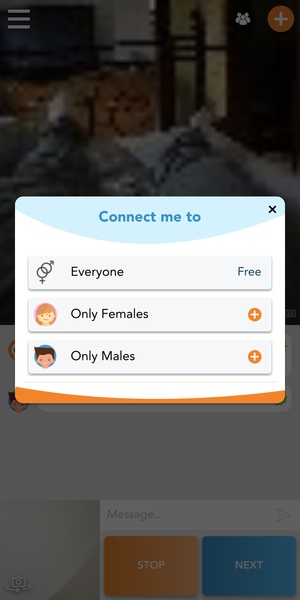 Camsurf: Chat Random & Flirt Screenshot 2