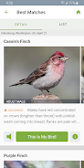 Merlin Bird ID von Cornell Lab Screenshot 1