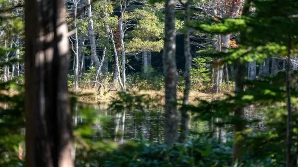 Ghost of Yōtei's Authentic Recreation of Historical Hokkaido