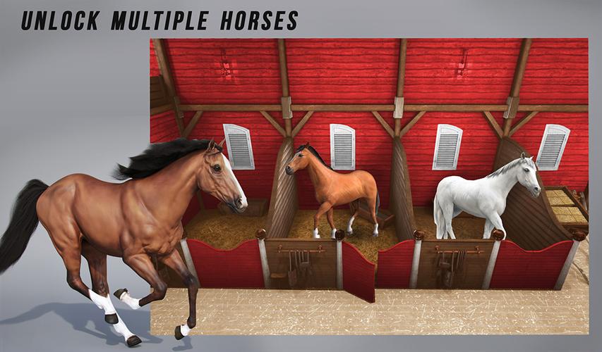 Horse Show Jump: Horse Games Captura de pantalla 1