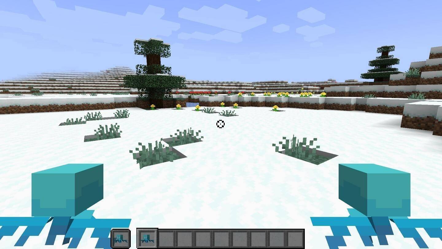 Minecraft Snow Biome种子