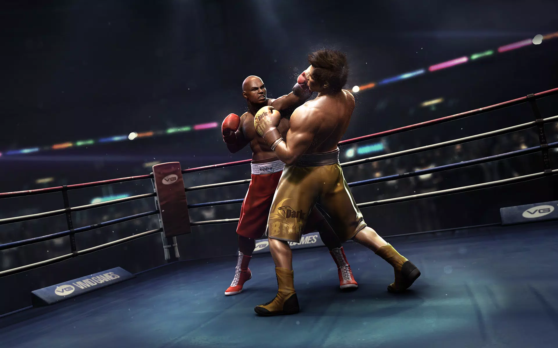 Real Boxing Скриншот 0