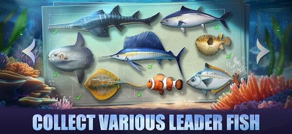 Top Fish: Ocean Game Screenshot 2