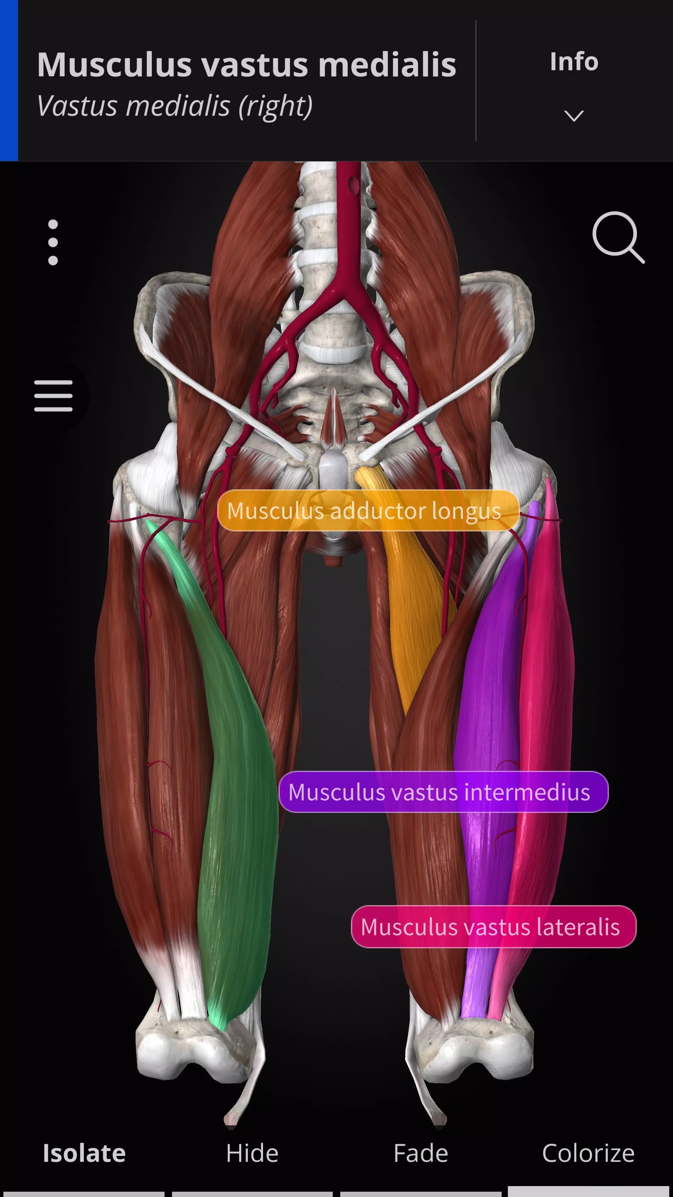 Anatomyka - 3D Anatomy Atlas ဖန်သားပြင်ဓာတ်ပုံ 1