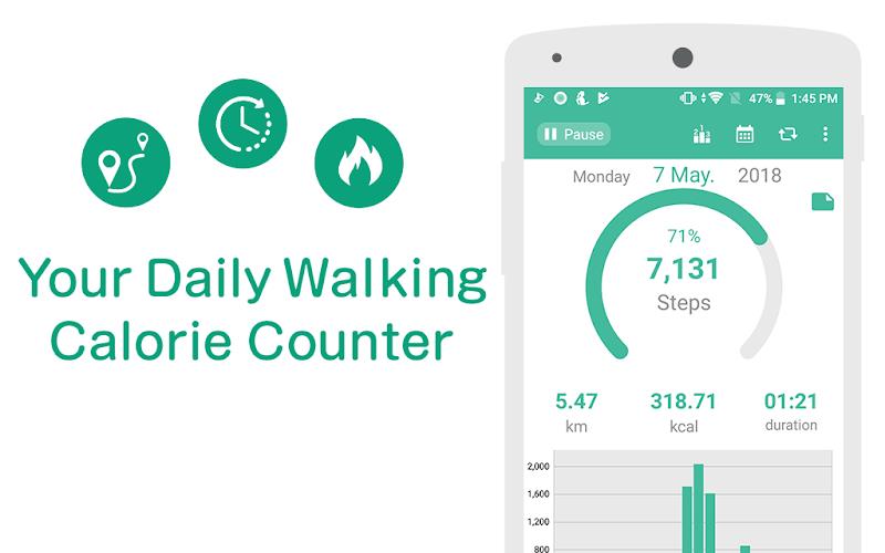 Pedometer - Step Counter Maipo ภาพหน้าจอ 0