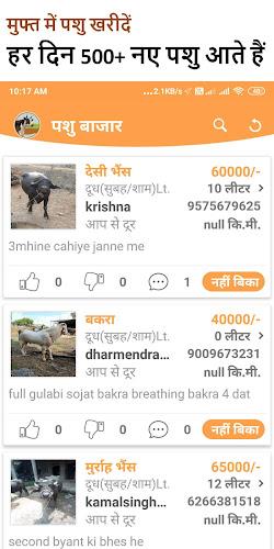 गाय भैंस  :  खरीदे बेचें Screenshot 0