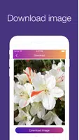 InstaSave应用截图第1张