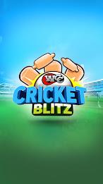 WCC Cricket Blitz Ảnh chụp màn hình 0