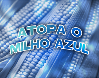 Atopa o Milho Azul应用截图第0张