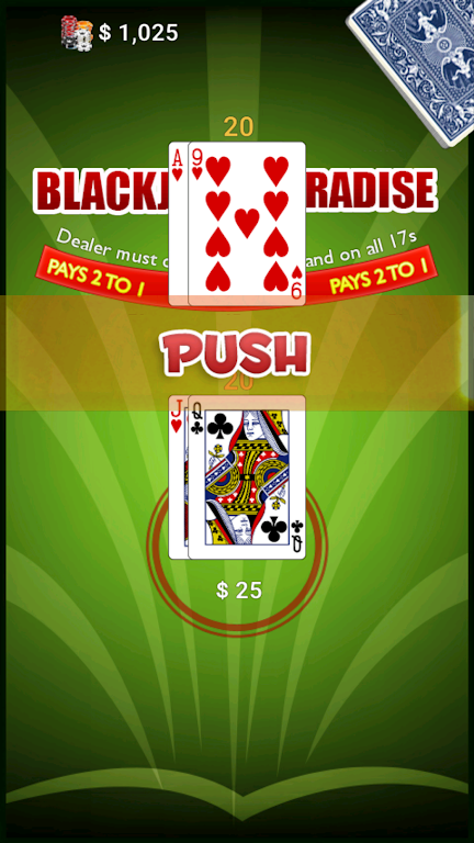 BlackJack Paradise Zrzut ekranu 2