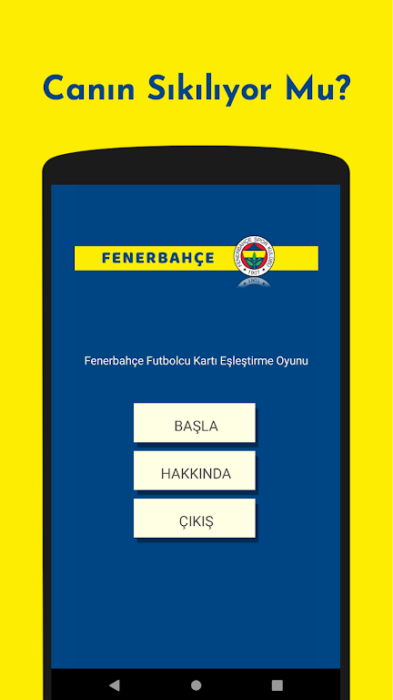 Fenerbahçe Futbolcu Kart Eşleştirme Oyunu স্ক্রিনশট 0