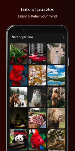 Sliding Puzzle Скриншот 1