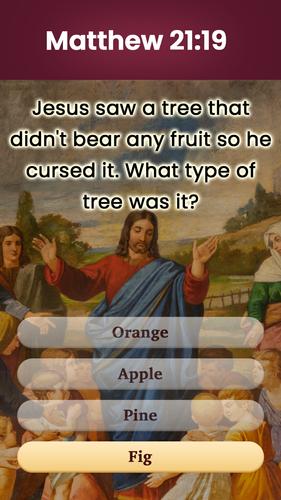 Bible Word Puzzle - Word Games应用截图第1张