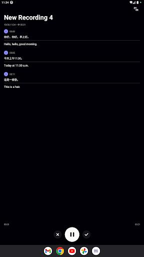 Litok: Record & Transcribe應用截圖第3張