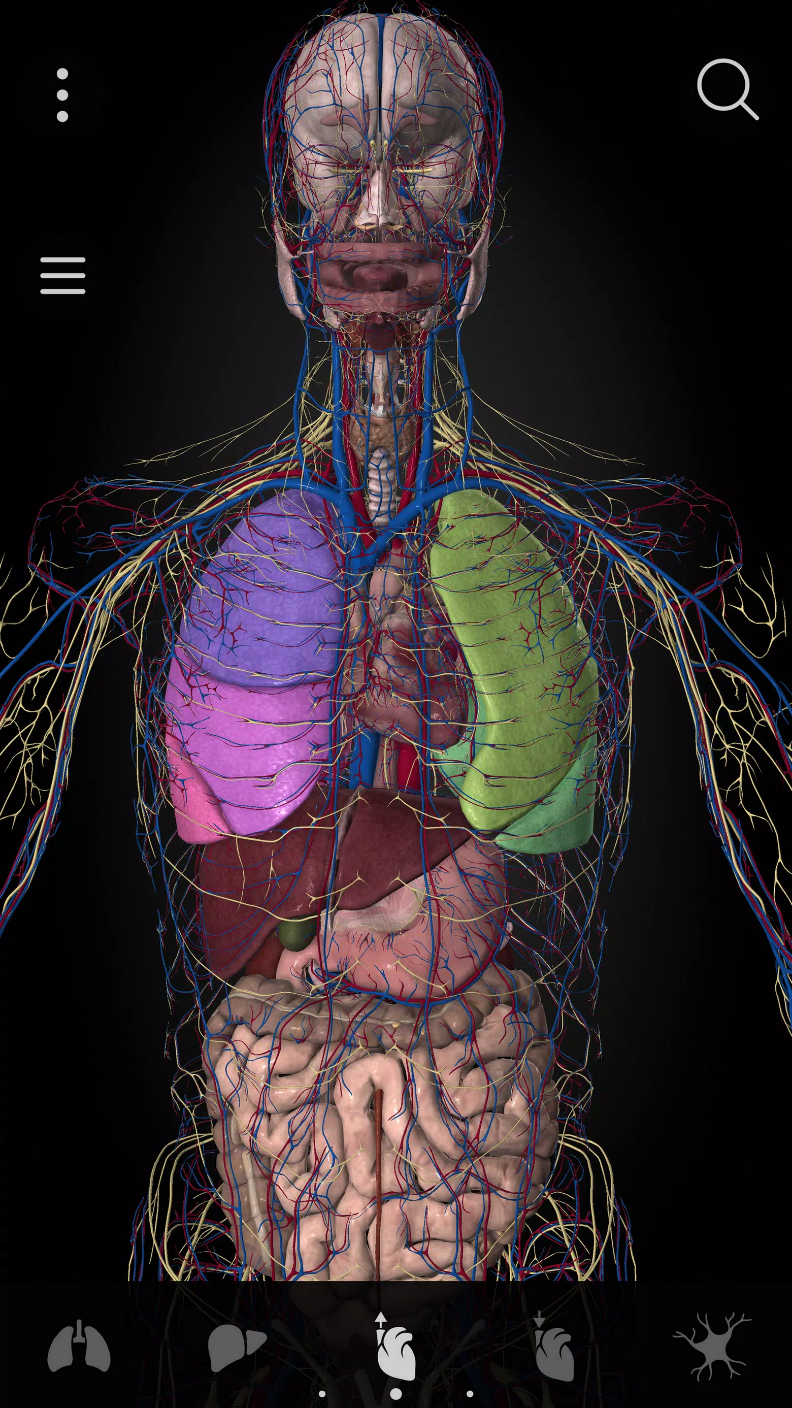 Anatomyka - 3D Anatomy Atlas應用截圖第2張