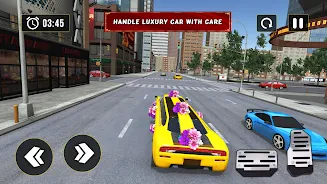 Luxury Wedding Limousine Taxi Screenshot 2