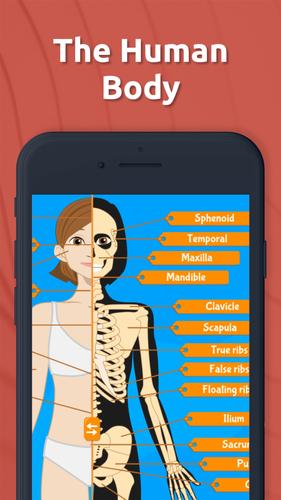 Human Anatomy - Body parts スクリーンショット 0