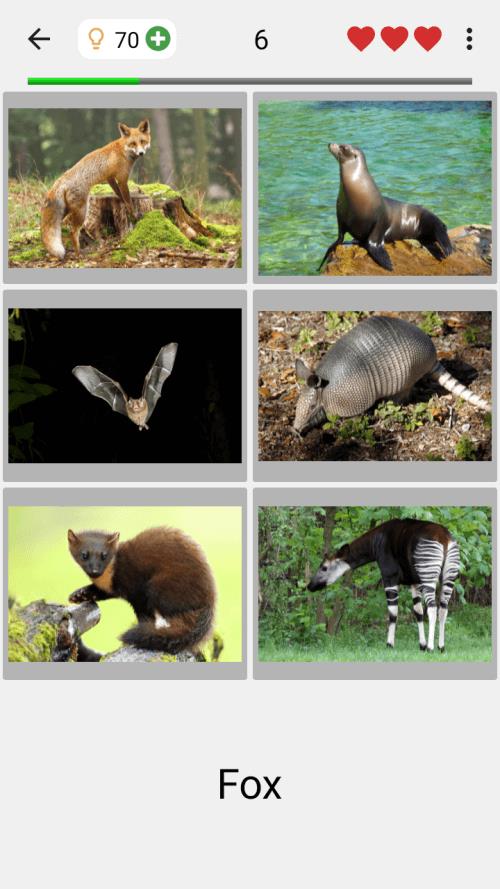 Animals Quiz Learn All Mammals Screenshot 1