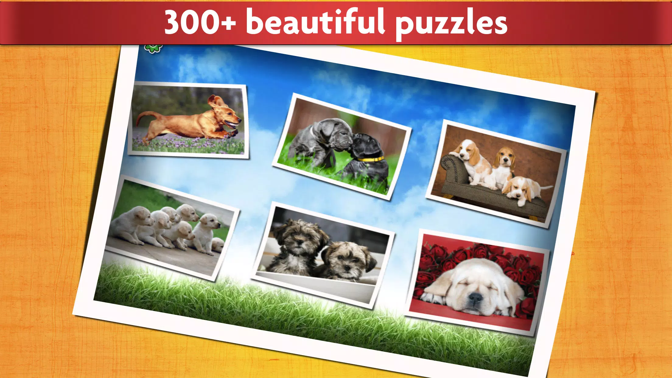 Puzzlespiel mit Hunde Kinder Screenshot 1