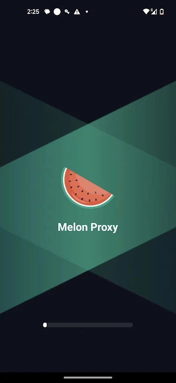 Melon Proxy স্ক্রিনশট 0