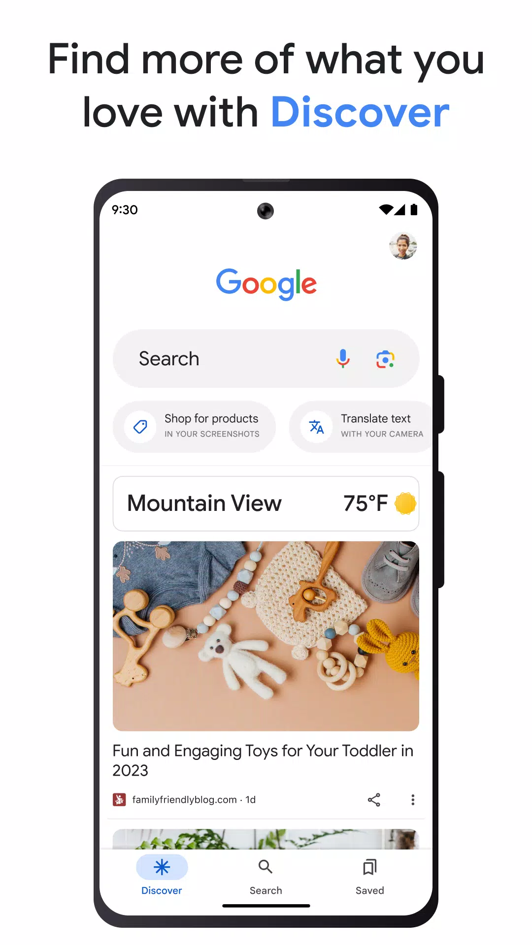 Google Screenshot 0