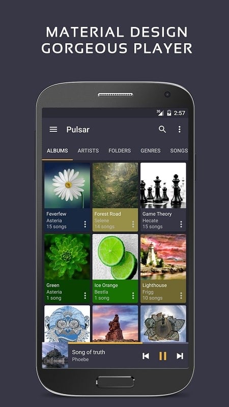 Pulsar Music Player Pro Screenshot 0