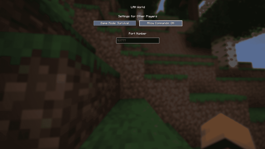 Minecrafr LAN Screen Java Editionにオープン