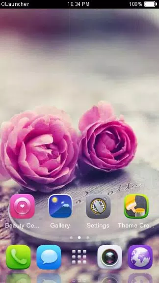 Pink Roses Theme C Launcher 스크린샷 2