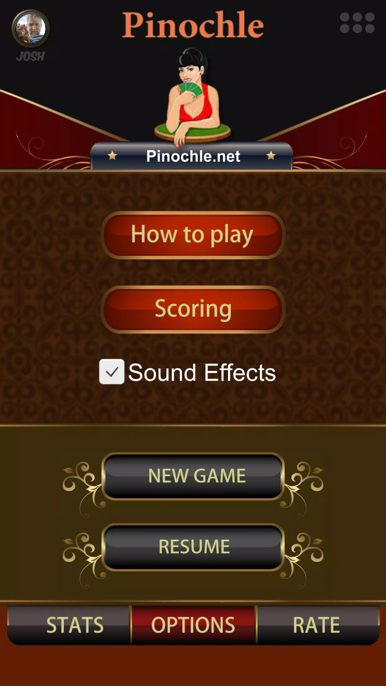 Schermata Pinochle Online 1