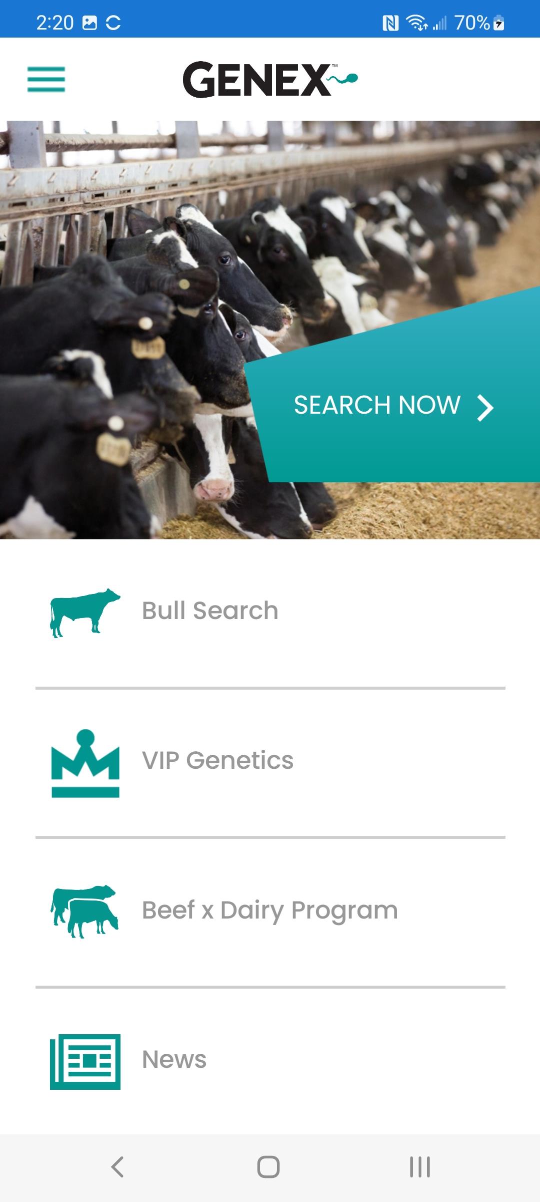 Bull Search Screenshot 0