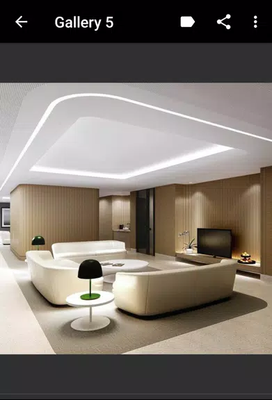 Schermata Ceiling Design 2