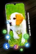 Puppies Wallpapers in 4K ဖန်သားပြင်ဓာတ်ပုံ 2