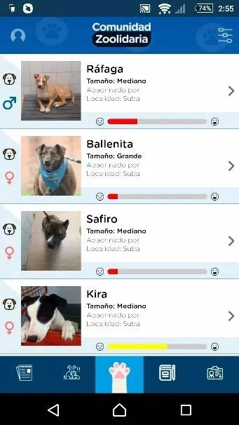 Distrito Appnimal Ekran Görüntüsü 0