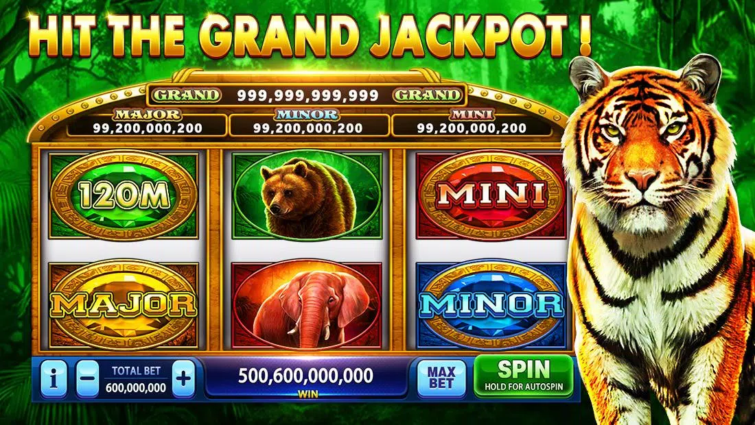 Pirate Fortune Slots Casino Zrzut ekranu 3