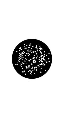 Life Goes On Captura de tela 2