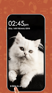 Kitty Cat Pin Lock Screen ဖန်သားပြင်ဓာတ်ပုံ 1